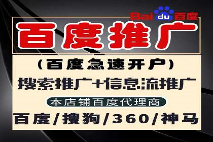 行业领先企业的SEM竞价推广策略揭秘